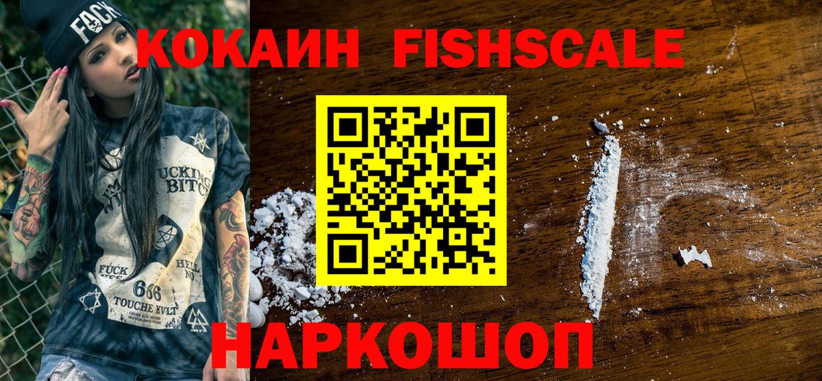 A PVP Камышин