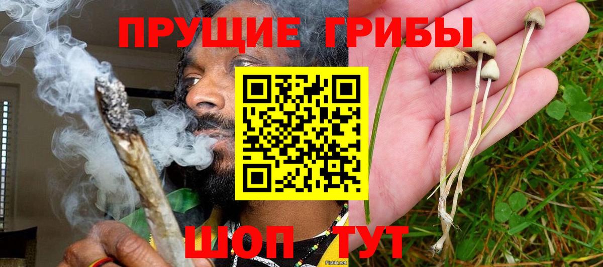 Псилоцибиновые грибы мухоморы  Галлюциногенные грибы Psilocybine cubensis  Камышин  Вход с VPN 