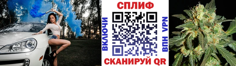 Каннабис индика  купить наркоту  Камышин 